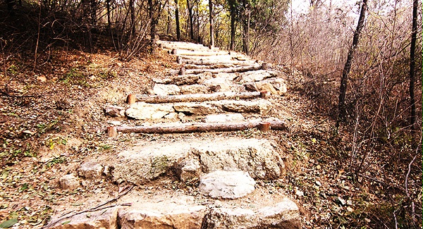 以愛之名，貼地疾行