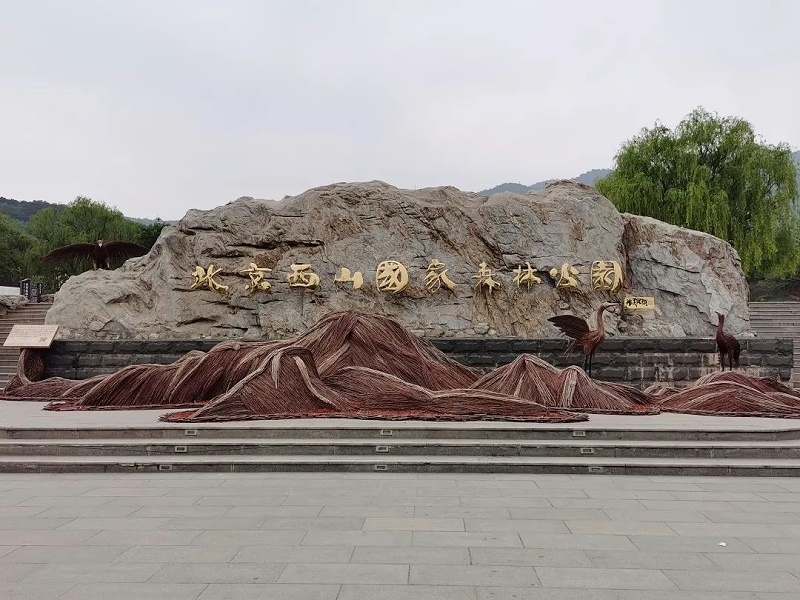 西山森林公園團(tuán)建活動