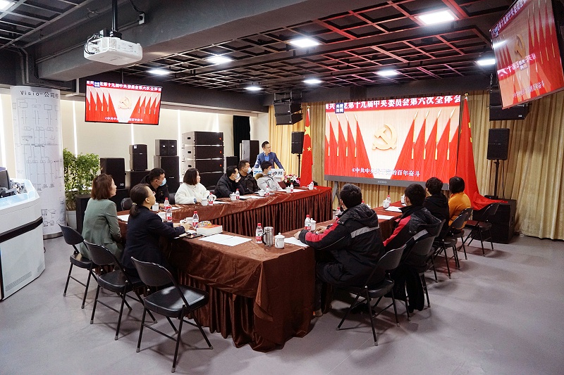 ZOBO卓邦黨支部丨開展“學(xué)習(xí)貫徹黨的十九屆六中全會(huì)精神”主題黨日活動(dòng)