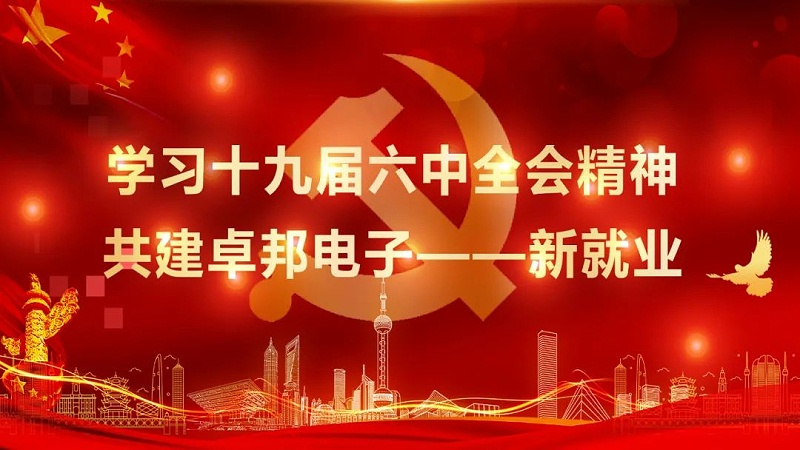 ZOBO卓邦黨支部丨開展“學(xué)習(xí)貫徹黨的十九屆六中全會(huì)精神”主題黨日活動(dòng)