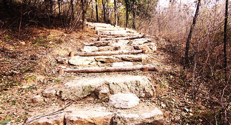 以愛(ài)之名，貼地疾行